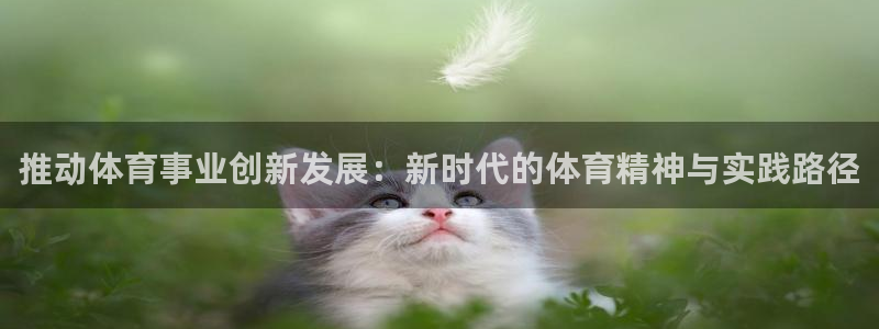 必一体育网址：推动体