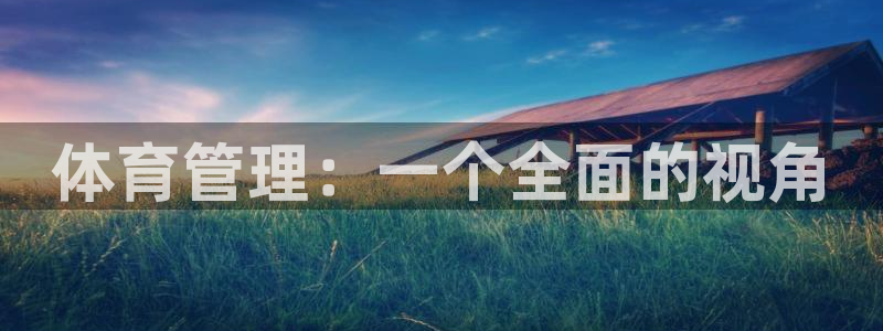 必一体育下载app下载：体育管理：一个全面的视角