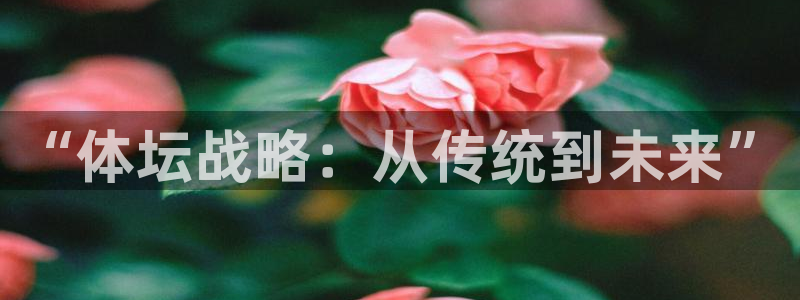必一体育平台：“体坛