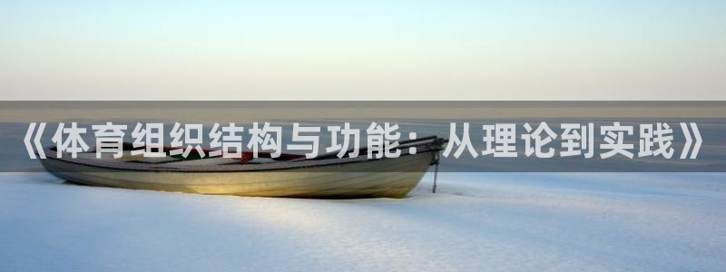 必一运动体育官网下载：《体育组织结构与功能：从理论到实践》