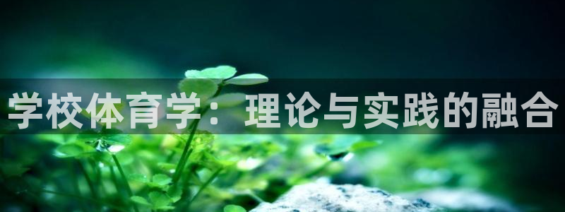 必一体育在线下载：学