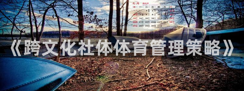 必一体育网页登陆：《