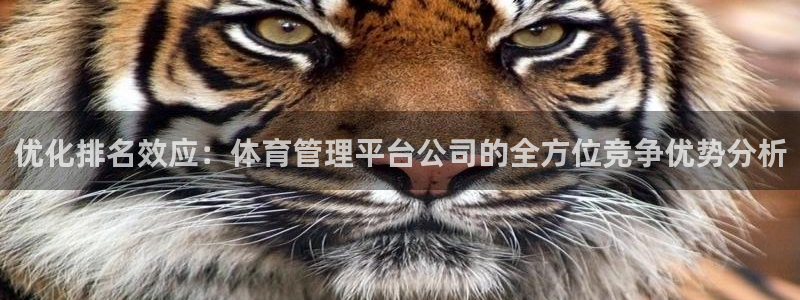 Bsport体育必一：优化排名效应：体育管理平台公司的全方位