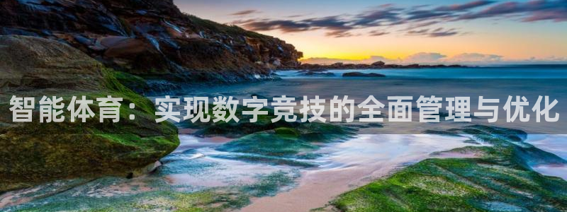 必一体育官方下载：智能体育：实现数字竞技的全面管理与优化