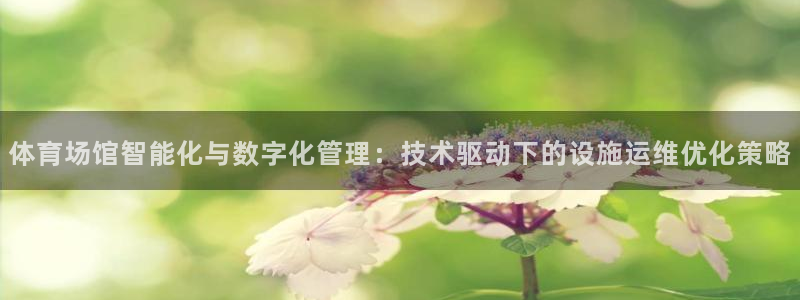 必一运动官网入口：体