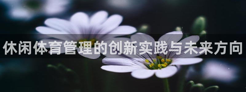必一体育周公：休闲体育管理的创新实践与未来方向