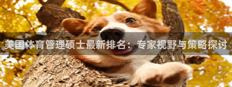 必一体育是啥：美国体