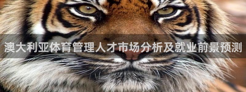 必一体育网站：澳大利
