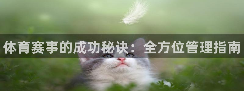 必一体育验证码