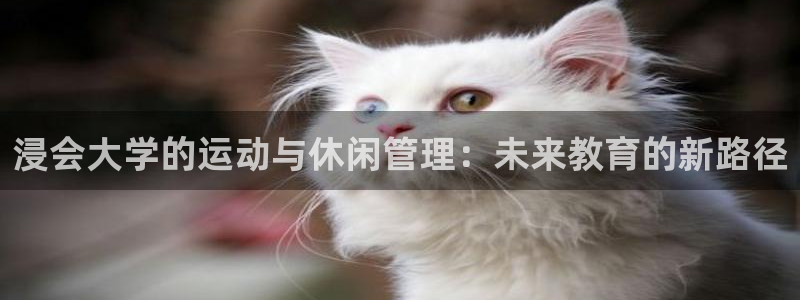 必一体育运动官网：浸