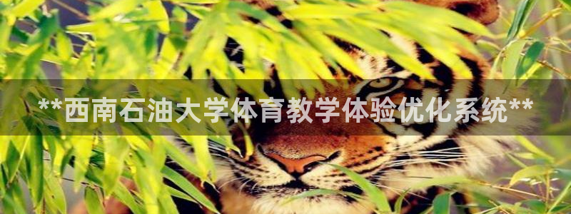 必一体育官网ios下载