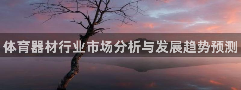 必一体育下载一样吗：