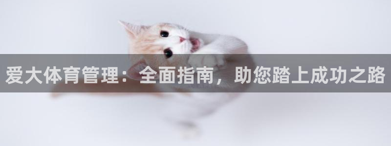 必一体育网页登录版官网