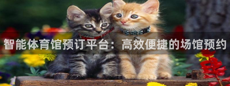 必一体育登入：智能体