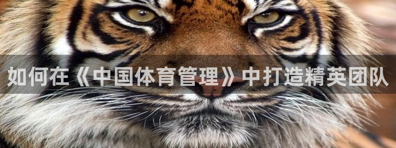 必一体育运动官网