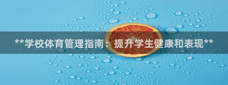 必一体育下载入口