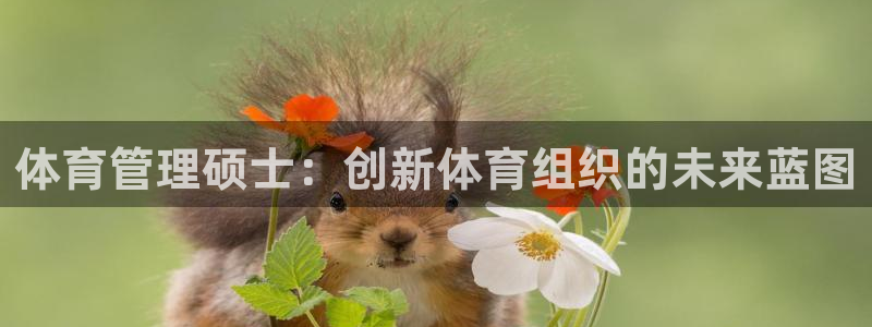 必一运动体育官网：体