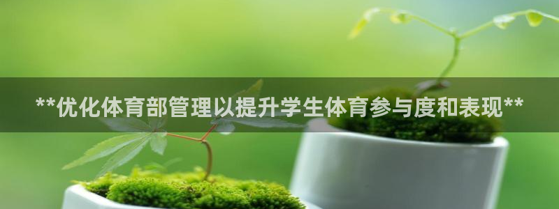 必一体育下载秀给网：