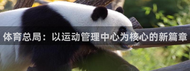 必一体育APP：体育