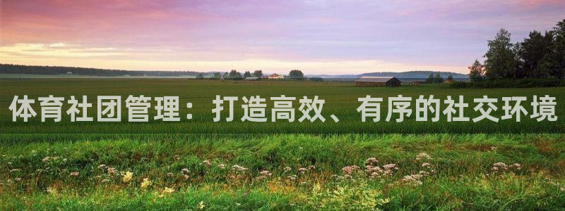 必一体育手机下载：体