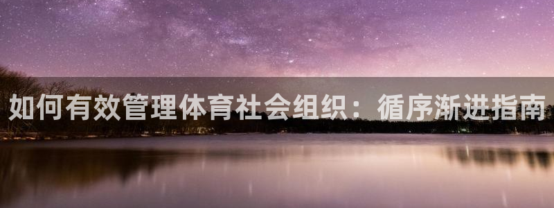 必一体育下载移动版：如何有效管理体育社会组织：循序渐进指南