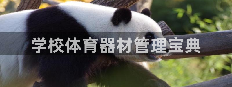 必一体育运动官网