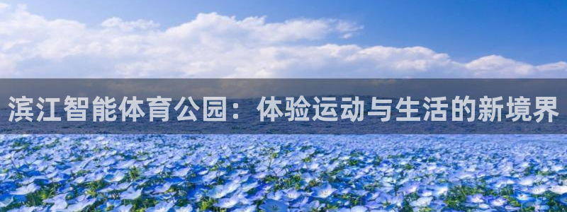 b体育官网下载入口a