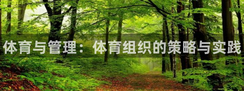 必一体育app官方：