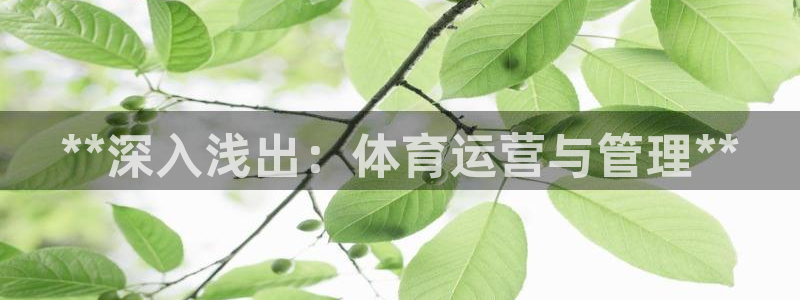 必一体育能提现大金额吗