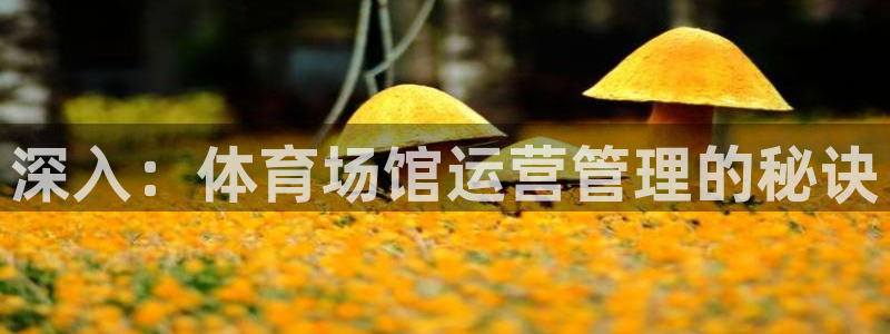 必一体育怎么下载