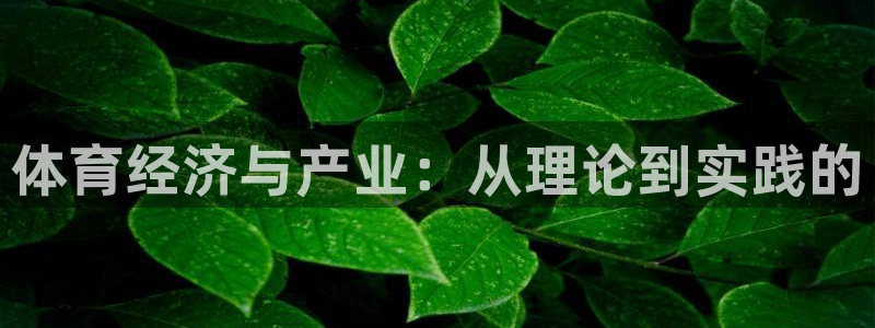 必一体育app官方网站：体育经济与产业：从理论到实践的