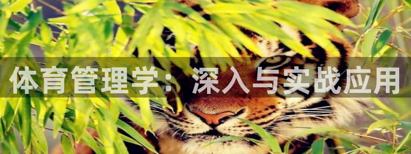 必一体育在线下载：体育管理学：深入与实战应用