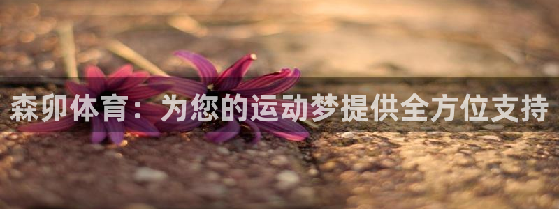 必一体育秀给网：森卯